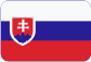 Počítačové siete Slovensky